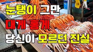 홍게 대게 10마리 5만원 ? 충격적인 진실 #대게 #홍게