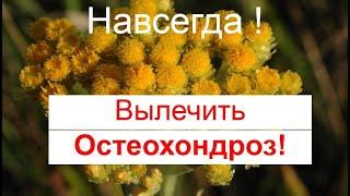 Бессмертник чудодейственный. Как вылечить навсегда ОСТЕОХОНДРОЗ, АРТРИТ, ПАДАГРА! Лечебные травы!