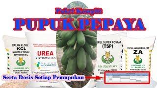 Pupuk Pepaya California