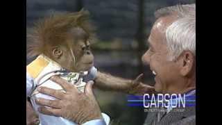 Baby Gorilla from San Diego Zoo: Orangutans on Johnny Carson's Tonight Show