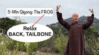 Relax and Heal Back, Tailbone | 5-Minute Qigong: The Frog