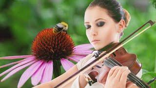 Heavenly Trio Instrumental  Piano, Cello & Violin Background Trio Music  Relaxing Bees 4k