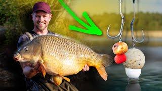 Köder kombinieren: Karpfenangeln mit Boilies & Tigernüssen | MINI-MASTERCLASS