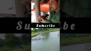 Shorts #shrimpfarming #pabitradas #aquaculture #shortvideo #song #fisheries #fishery #vannamei