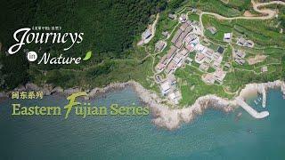 Eastern Fujian Series Ep. 7: 'Sea erosion museum' created by waves