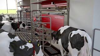 Lely Astronaut A5 - The art of milking – short version - EN