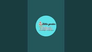 Little garden Sadan  is live