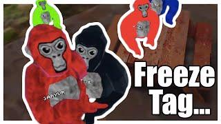 Playing freeze tag with GaryVR