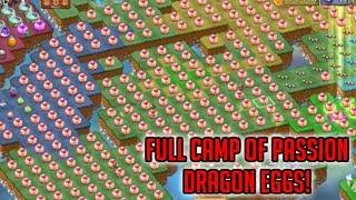 Camp Full Of Passion Dragons -Creating A Level 10 Dragon! | Merge Dragons