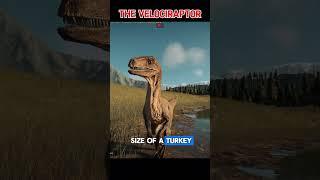 The Velociraptor | a fierce feathered predator  #dinosaur #prehistoric #jurassicworldevolution2