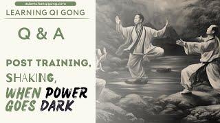 Taoism & Qigong: Post Training, Shaking, When Power Goes Dark - Q & A - Adam Chan