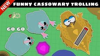 EPIC CASSOWARY TROLLING THE SERVER IN MOPE.IO