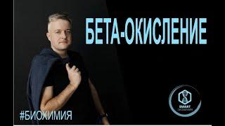 Биохимия: Бета-окисление