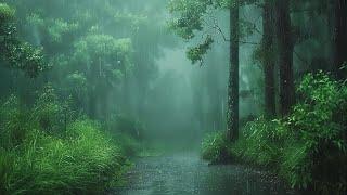 Sleep Instantly with Heavy Rainstorm & Thunder Sounds for Sleep - Nature White Sounds in the Forest