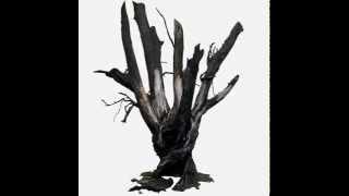 Charred trunk Tree, 3D model