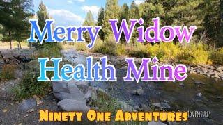 Merry Widow Health Mine Campground | Traveling from Glacier NP to Yellowstone