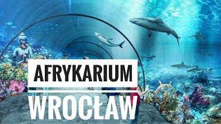 AFRYKARIUM WROCŁAW / ОКЕАНАРИУМ ВО ВРОЦЛАВЕ / ZOO / Зоопарк во Вроцлаве / Жизнь в Польше