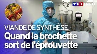 Viande de synthèse : la solution contre le réchauffement climatique et les abattoirs ?