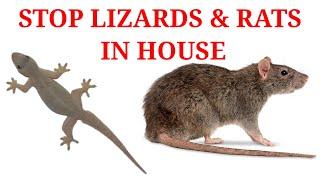 How to Keep Lizards and Rats Away from Doors & Windows - Sanjeevan and Company