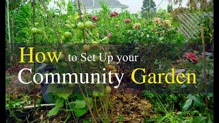 How to Set up Your Community Garden Plot in 2022