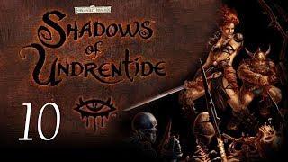 Neverwinter Nights: Shadows of Undrentide - 10 - Not the Bears!