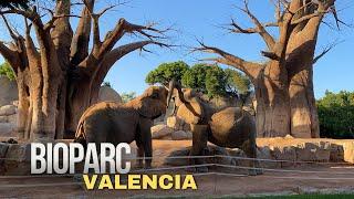 BIOPARC, VALENCIA - Walking Tour 4K