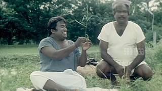 Senthil asking question to Goundamani | Chinna Gounder tamil movie | Vijayakanth | Manorama