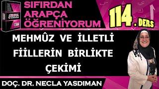 Sıfırdan Arapça Öğreniyorum 114.DERS (MEHMÛZ VE İLLETLİ FİİLLERİN BİRLİKTE ÇEKİMİ) - Necla Yasdıman