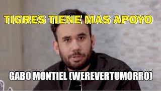 Werevertumorro @elgaborever GABO MONTIEL- Tigres es mejor que rayados 