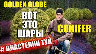 FANTASTIC GARDENMAN IN BELARUS / LORD OF THE  CONIFERS