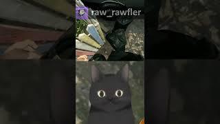 Вошёл #vtuber #витубер #втубер #funny #roblox #memes #аниме #funny #мем #cat  #animation