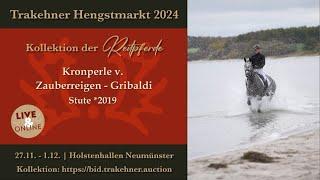 43 - Kronperle -Ostsee- Stute v. Zauberreigen - Gribaldi *2019