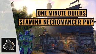 Elder Scrolls Online One Minute Build: Stamina Necromancer PvP #shorts