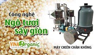 Hướng dẫn công nghệ sản xuất ngô nếp tươi sấy (chiên chân không) VinaOrganic