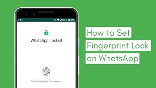 How to Set Fingerprint Lock on WhatsApp - Digicular