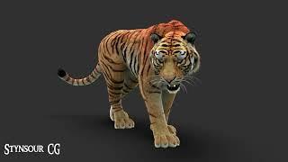 Tiger 3D model 360 Turntable | CG Creature artist #stynsour