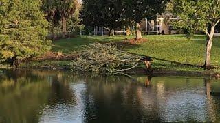 The Villages, FL,  Morning after Hurricane Helene!