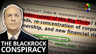 Is the Blackrock conspiracy real?