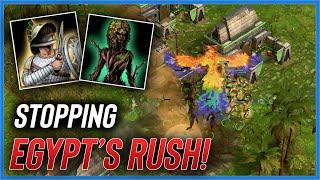 Egypt tries an ALL OUT Rush in Age of Mythology Retold!