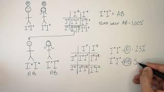 Blood Group Inheritance | A, B, AB, O | GCSE Biology (Triple 9-1) | KayScience