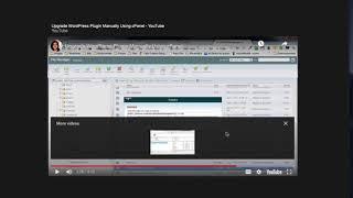 Updating Plugins Manually In Cpanel