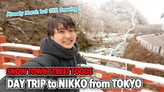 Luxury Train Ride from Tokyo to Nikko, Street Foods in Beautiful Snow Town and Snowy Shrine Ep.555