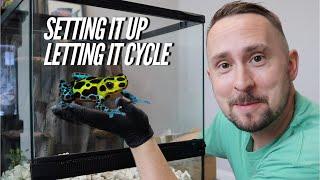 Setting up a DART FROG Vivarium Step by Step - Bioactive | Jay Wilson