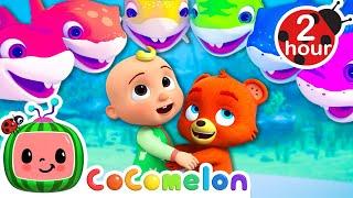 The Colorful Baby Shark Song  | CoComelon - Nursery Rhymes | Fun Cartoons For Kids