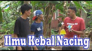 Ilmu Kebal Nacing