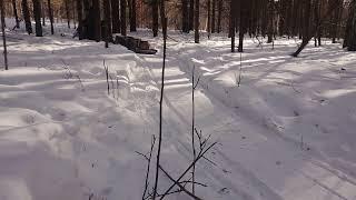 Stels Капитан тянет сани с дровами