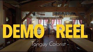 Tanguy - Colorist  DEMO REEL 2k22