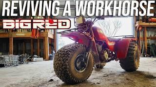 We Bought a Neglected 1986 Honda ATC250 “Big Red” | Reviving a Legendary 3 Wheeler