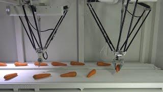 Using Vision AI and Delta X S Robot for Carrot Sorting