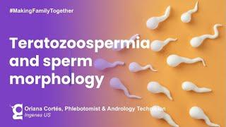 What is teratozoospermia? | Ingenes